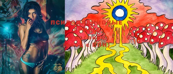 PSILOCYBIN Магадан