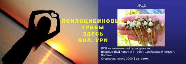 дурь Медногорск