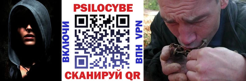 Псилоцибиновые грибы GOLDEN TEACHER  Полярные Зори 